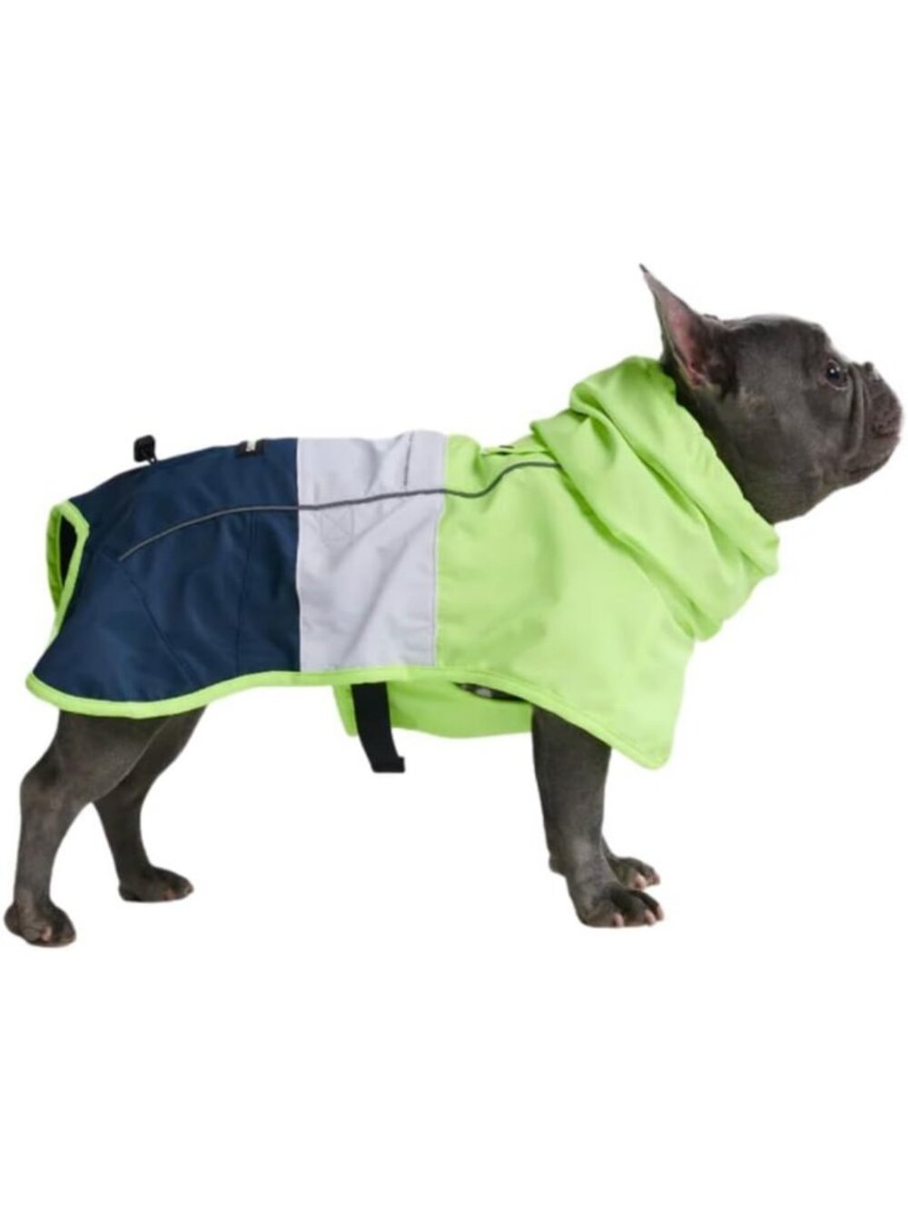 Waterproof Windproof Dog Raincoat - Reflective Full-Body Jacket for All Sizes